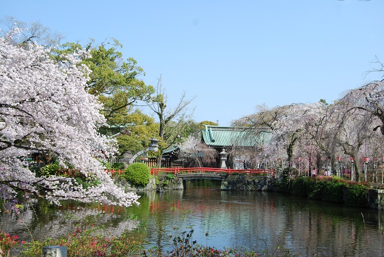 季節のたより 三嶋大社